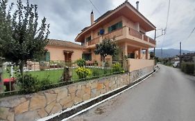 The Lake House